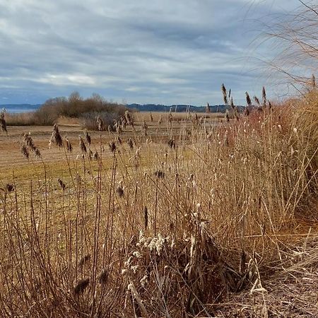 Tiny X Im Marxhof Seebruck Am Chiemsee ゼーオン・ゼーブルック エクステリア 写真