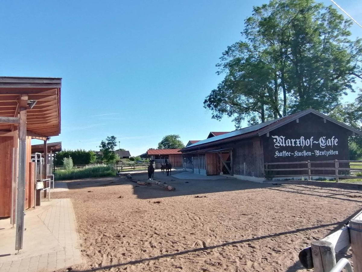 Tiny X Im Marxhof Seebruck Am Chiemsee ゼーオン・ゼーブルック エクステリア 写真