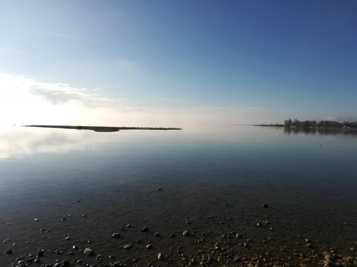 Tiny X Im Marxhof Seebruck Am Chiemsee ゼーオン・ゼーブルック エクステリア 写真