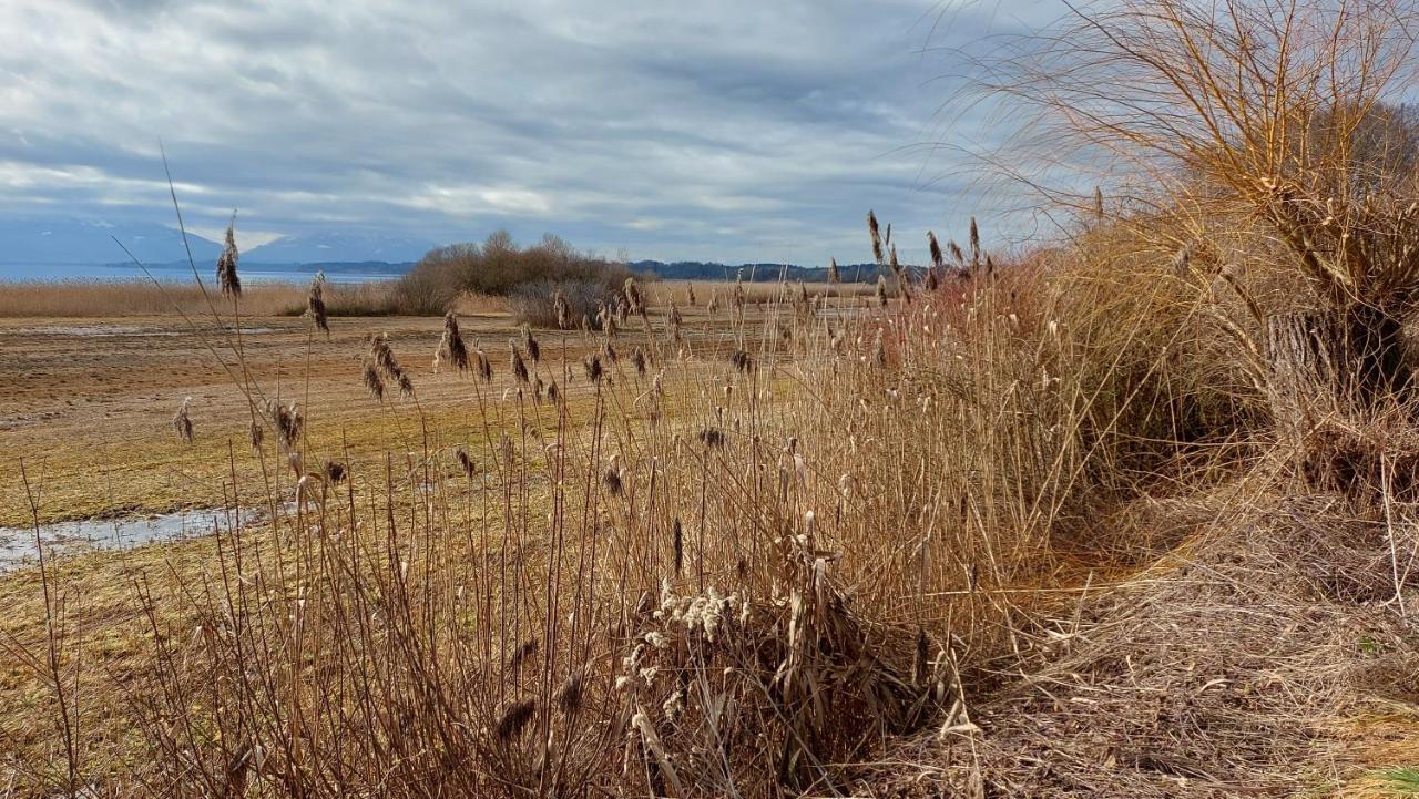 Tiny X Im Marxhof Seebruck Am Chiemsee ゼーオン・ゼーブルック エクステリア 写真